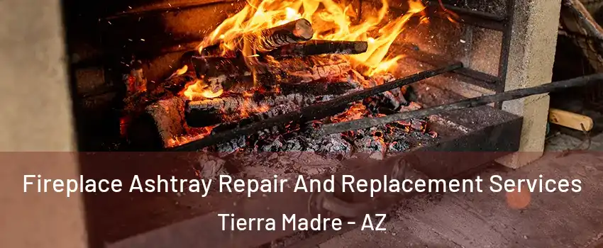 Fireplace Ashtray Repair And Replacement Services Tierra Madre - AZ