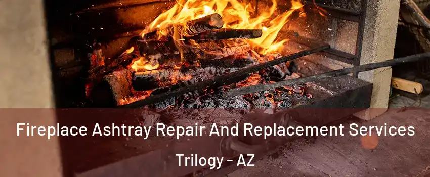 Fireplace Ashtray Repair And Replacement Services Trilogy - AZ