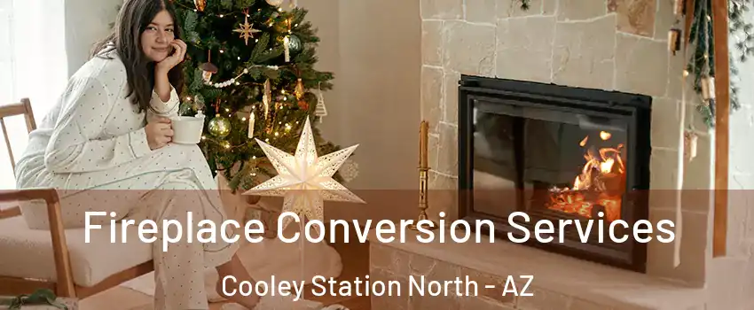 Fireplace Conversion Services Cooley Station North - AZ