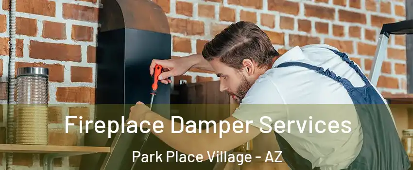 Fireplace Damper Services Park Place Village - AZ