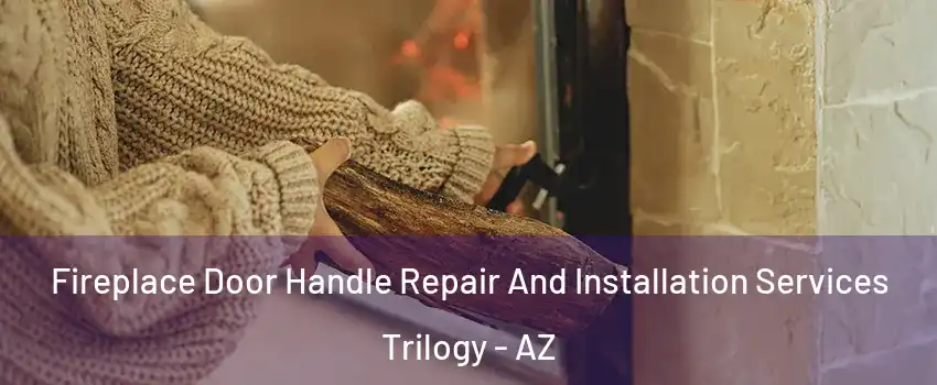 Fireplace Door Handle Repair And Installation Services Trilogy - AZ