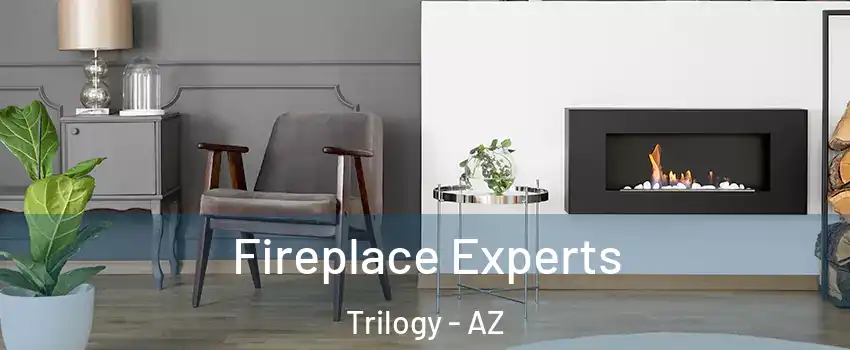 Fireplace Experts Trilogy - AZ