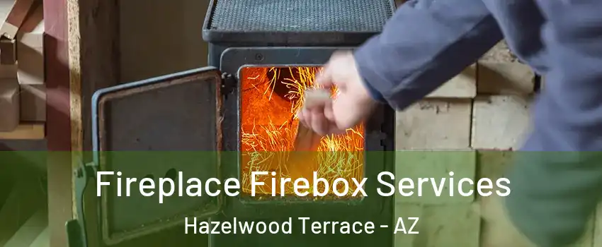 Fireplace Firebox Services Hazelwood Terrace - AZ