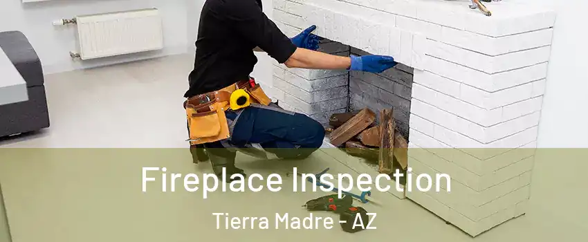 Fireplace Inspection Tierra Madre - AZ