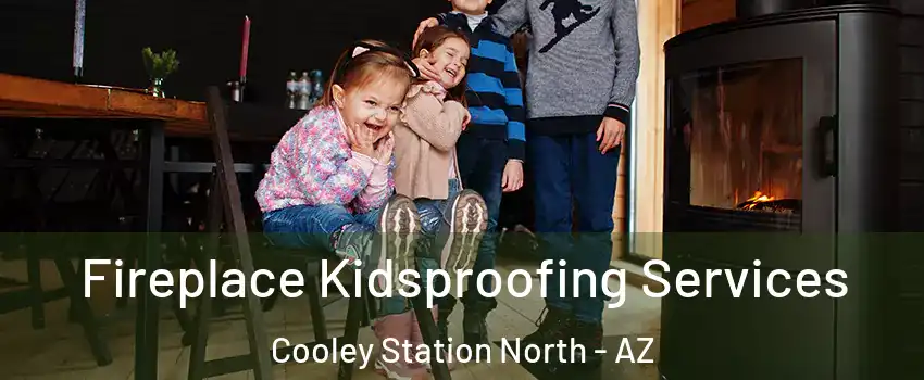 Fireplace Kidsproofing Services Cooley Station North - AZ