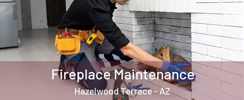 Fireplace Maintenance Hazelwood Terrace - AZ