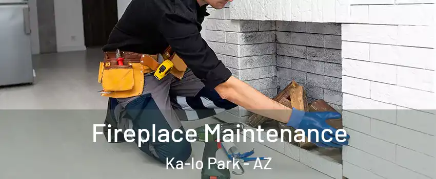 Fireplace Maintenance Ka-lo Park - AZ