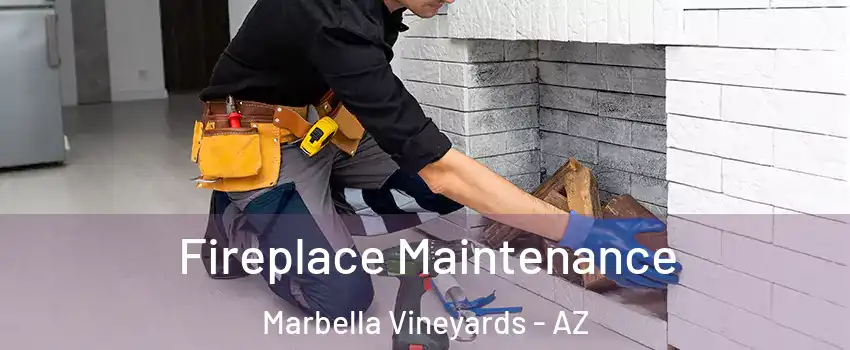 Fireplace Maintenance Marbella Vineyards - AZ