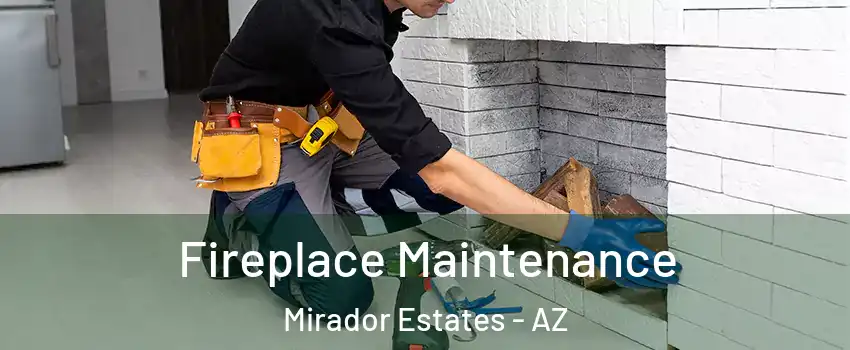 Fireplace Maintenance Mirador Estates - AZ