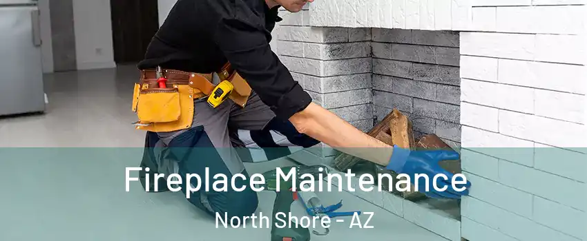 Fireplace Maintenance North Shore - AZ