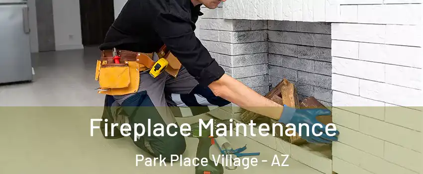 Fireplace Maintenance Park Place Village - AZ