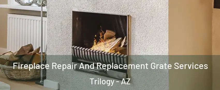 Fireplace Repair And Replacement Grate Services Trilogy - AZ