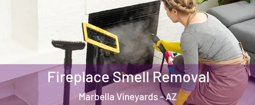 Fireplace Smell Removal Marbella Vineyards - AZ