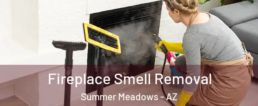 Fireplace Smell Removal Summer Meadows - AZ