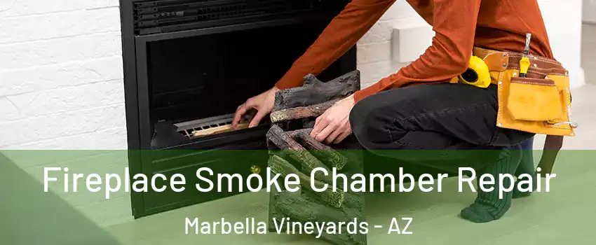 Fireplace Smoke Chamber Repair Marbella Vineyards - AZ