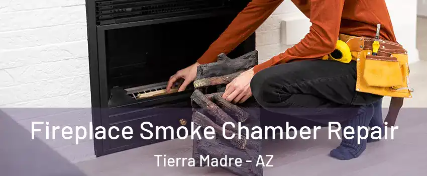 Fireplace Smoke Chamber Repair Tierra Madre - AZ