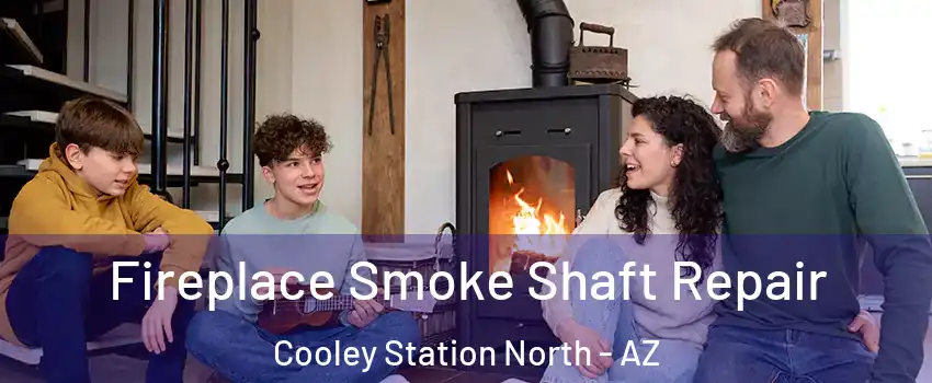 Fireplace Smoke Shaft Repair Cooley Station North - AZ