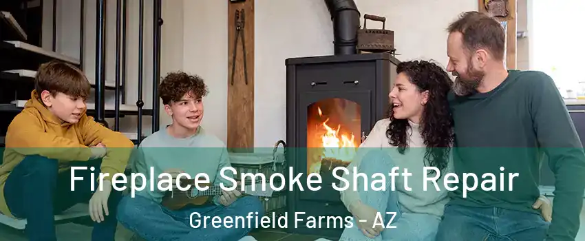 Fireplace Smoke Shaft Repair Greenfield Farms - AZ