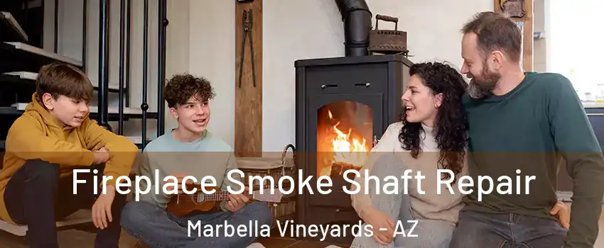 Fireplace Smoke Shaft Repair Marbella Vineyards - AZ