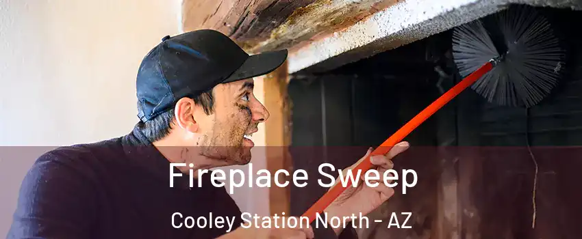 Fireplace Sweep Cooley Station North - AZ