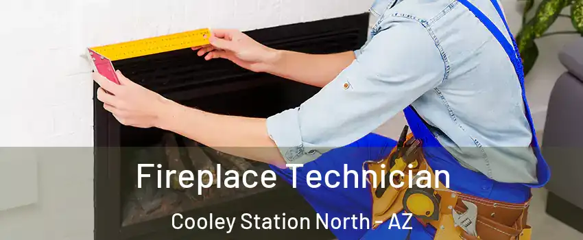 Fireplace Technician Cooley Station North - AZ