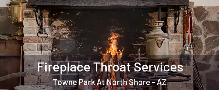 Fireplace Throat Services Towne Park At North Shore - AZ