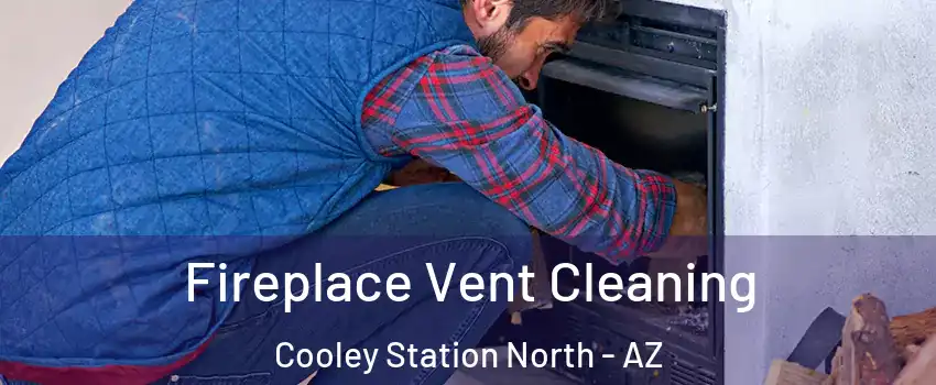 Fireplace Vent Cleaning Cooley Station North - AZ