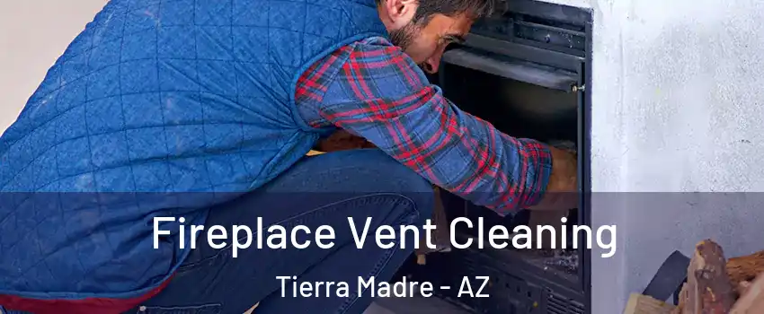 Fireplace Vent Cleaning Tierra Madre - AZ