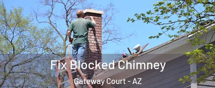 Fix Blocked Chimney Gateway Court - AZ