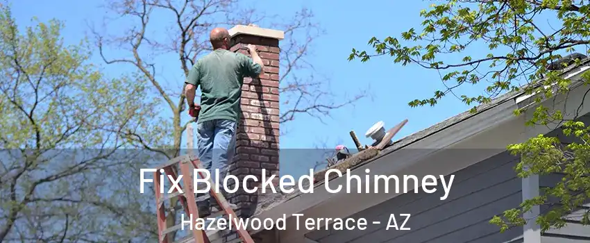 Fix Blocked Chimney Hazelwood Terrace - AZ