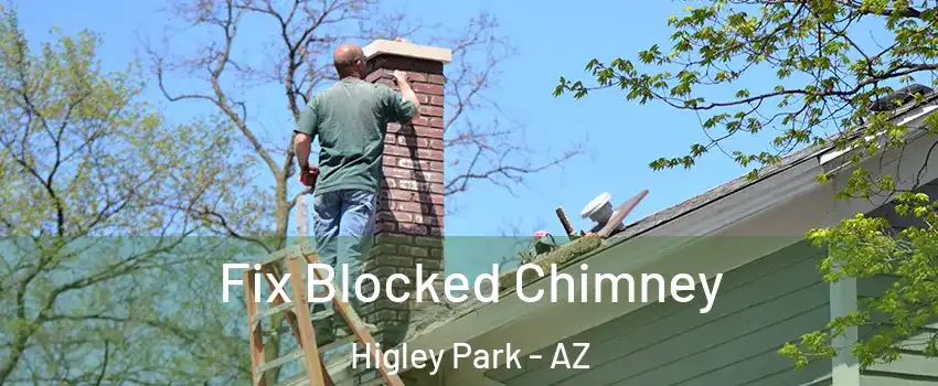 Fix Blocked Chimney Higley Park - AZ