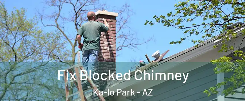 Fix Blocked Chimney Ka-lo Park - AZ