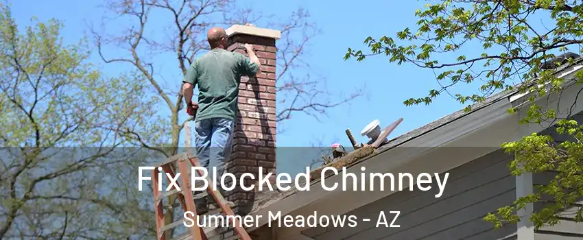 Fix Blocked Chimney Summer Meadows - AZ