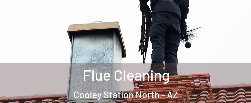 Flue Cleaning Cooley Station North - AZ