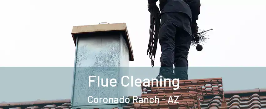 Flue Cleaning Coronado Ranch - AZ