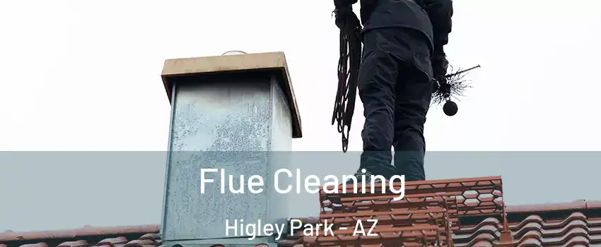 Flue Cleaning Higley Park - AZ