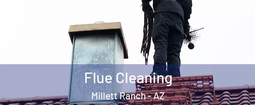 Flue Cleaning Millett Ranch - AZ