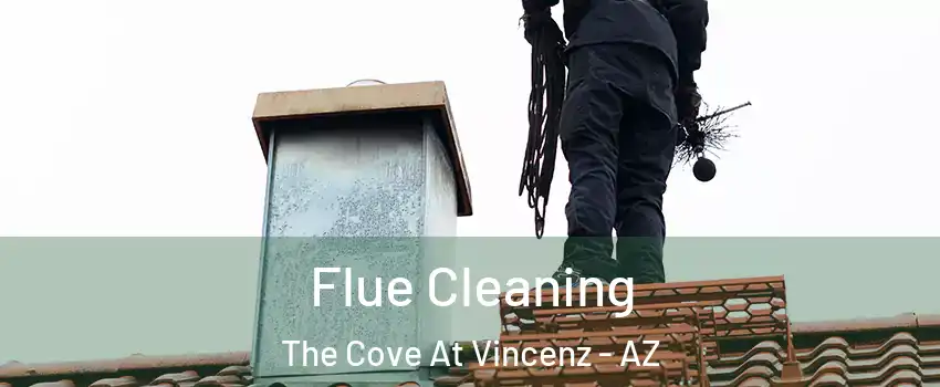 Flue Cleaning The Cove At Vincenz - AZ