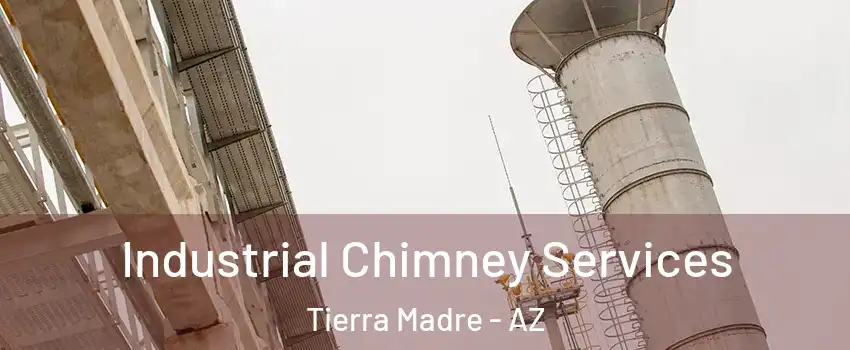 Industrial Chimney Services Tierra Madre - AZ