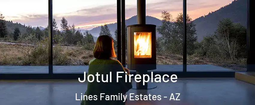 Jotul Fireplace Lines Family Estates - AZ