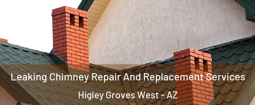 Leaking Chimney Repair And Replacement Services Higley Groves West - AZ