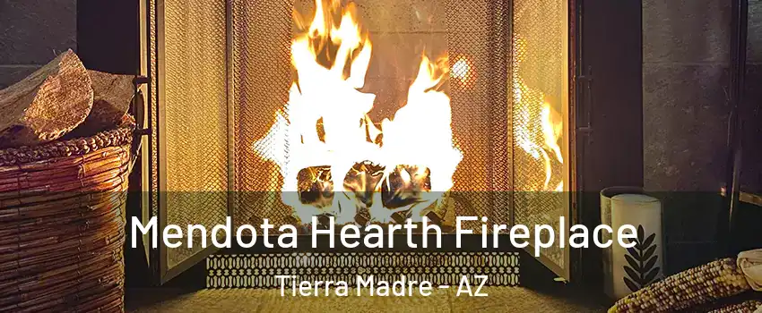 Mendota Hearth Fireplace Tierra Madre - AZ