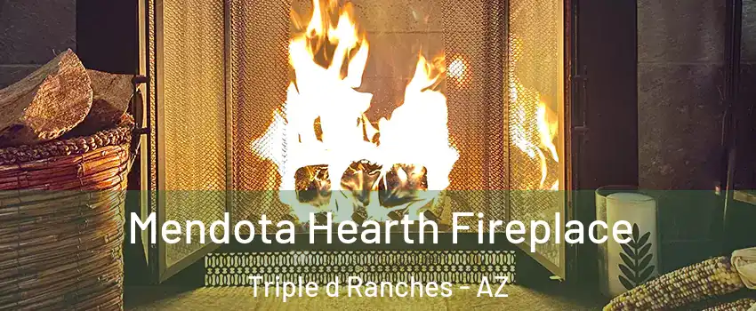 Mendota Hearth Fireplace Triple d Ranches - AZ