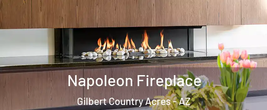 Napoleon Fireplace Gilbert Country Acres - AZ