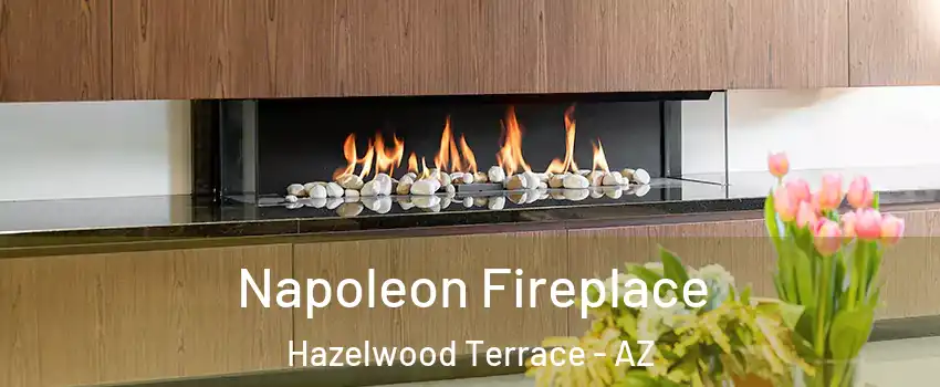 Napoleon Fireplace Hazelwood Terrace - AZ