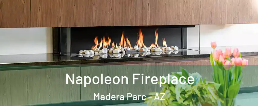 Napoleon Fireplace Madera Parc - AZ