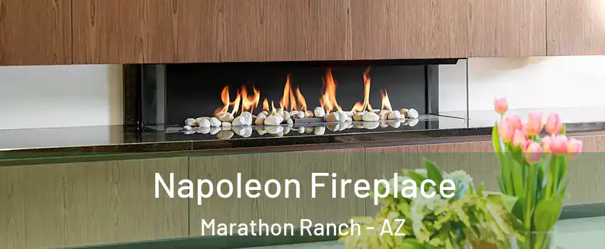 Napoleon Fireplace Marathon Ranch - AZ