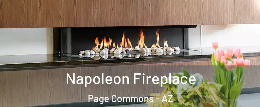 Napoleon Fireplace Page Commons - AZ