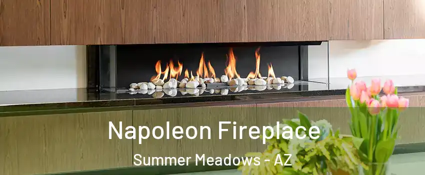 Napoleon Fireplace Summer Meadows - AZ