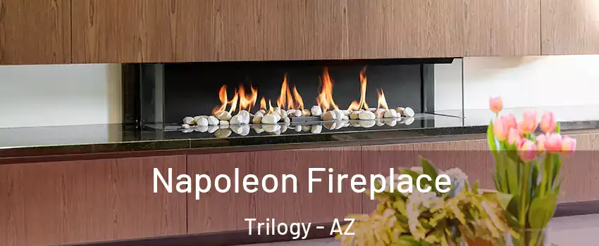 Napoleon Fireplace Trilogy - AZ